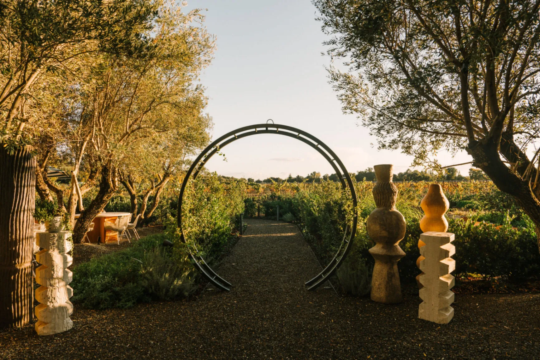 Vineyard garden with sculpture